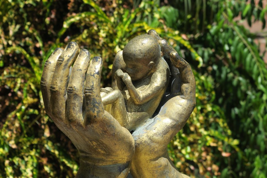 abortion, hand, hands-3533963.jpg